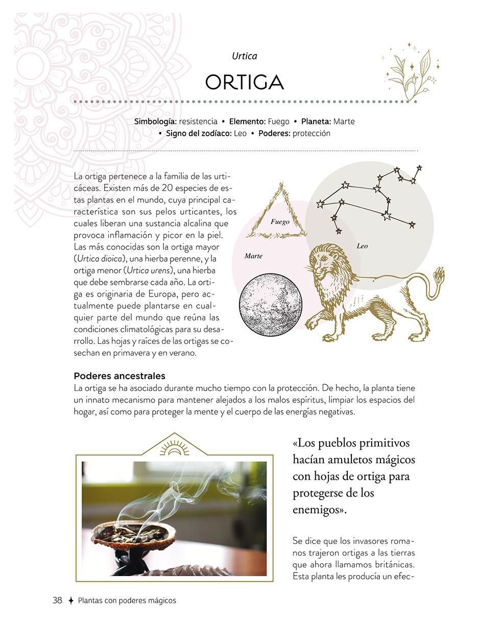 Libro Plantas Con Poderes Mágicos de Gemma Mateos 8