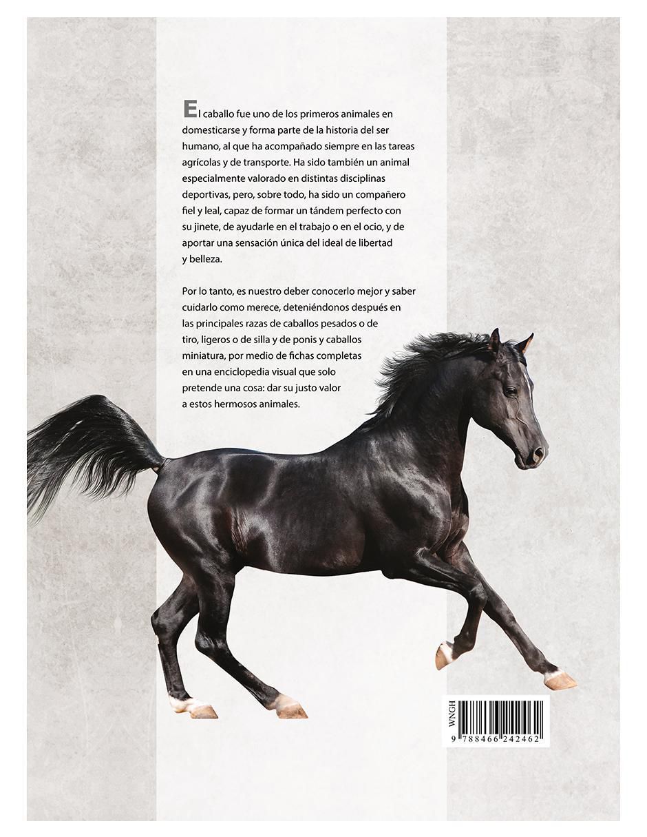 Libro Enciclopedia Ilustrada del Caballo de Carmen Martul 2