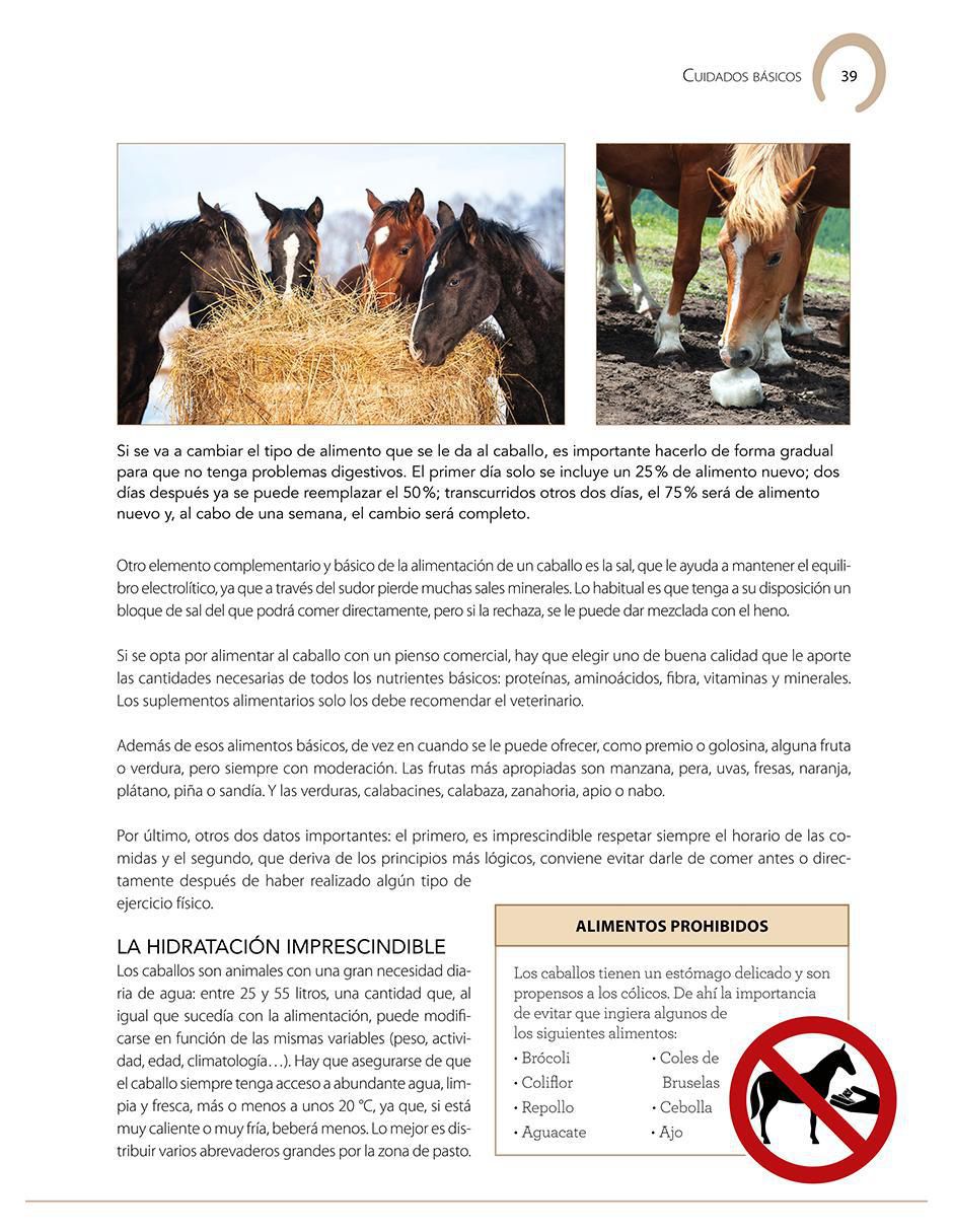 Libro Enciclopedia Ilustrada del Caballo de Carmen Martul 3