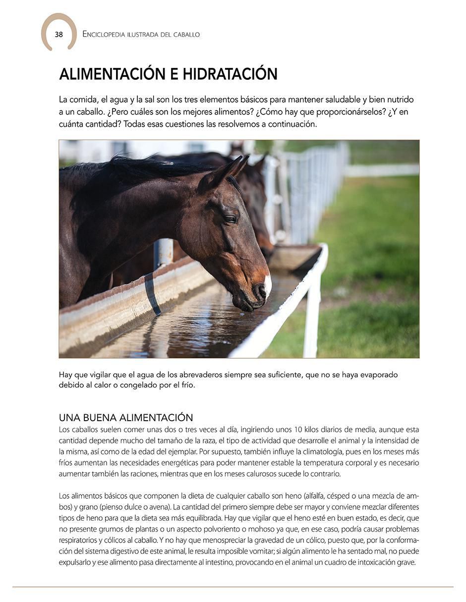 Libro Enciclopedia Ilustrada del Caballo de Carmen Martul 4