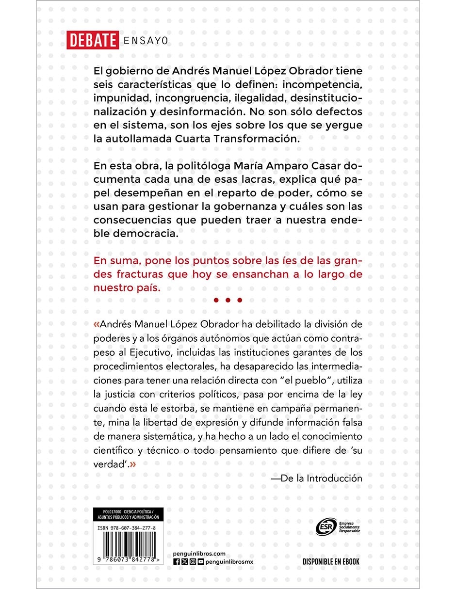 Libro Los puntos sobre las ÍES de Maria Amparo Casar 2