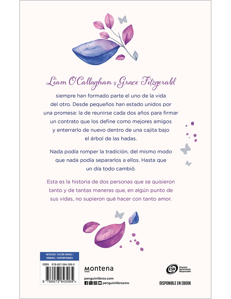 Libro El tiempo que tuvimos de Cherry Chic 2