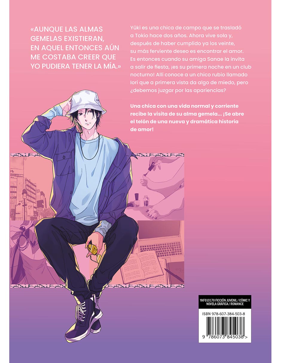 Manga Una Historia De Almas Gemelas 1 2