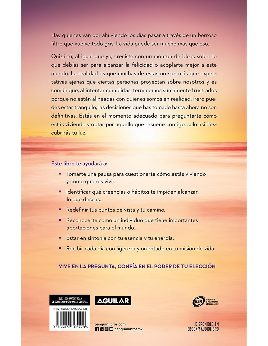Libro Descubre tu luz de Nicole Domit 2