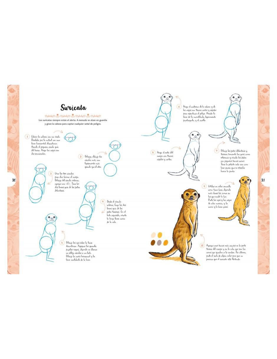 Libro Dibujar en 10 pasos: Animales adorables de Justine Lecouffe 2