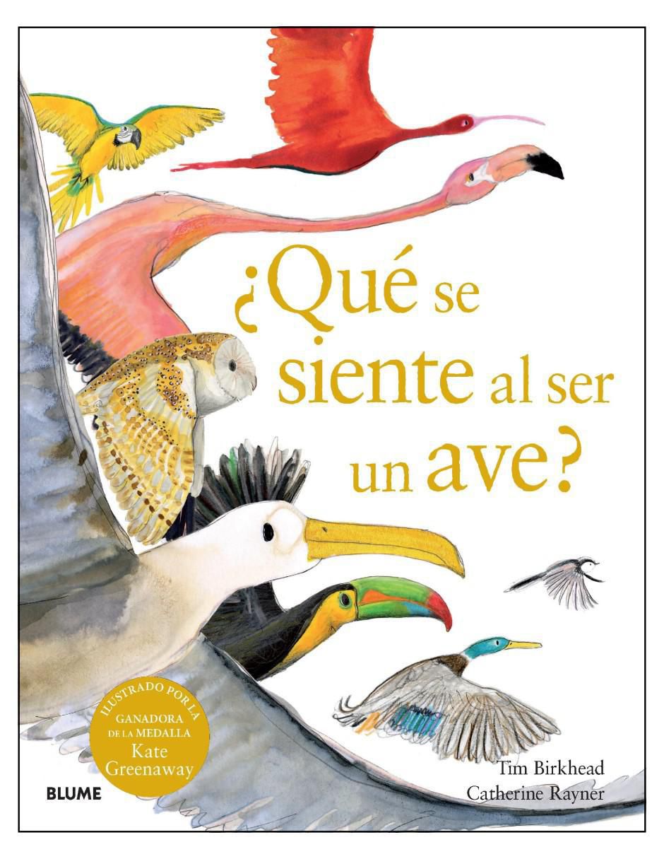 Libro ¿Qué Se Siente Al Ser Un Ave? de Tim Birkhead / Catherine Rayner