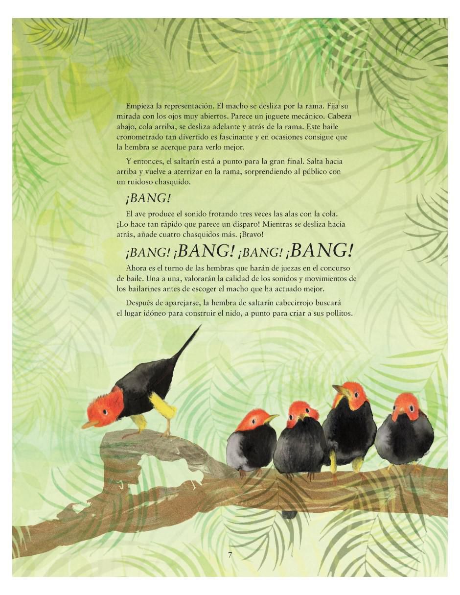 Libro ¿Qué Se Siente Al Ser Un Ave? de Tim Birkhead / Catherine Rayner 2