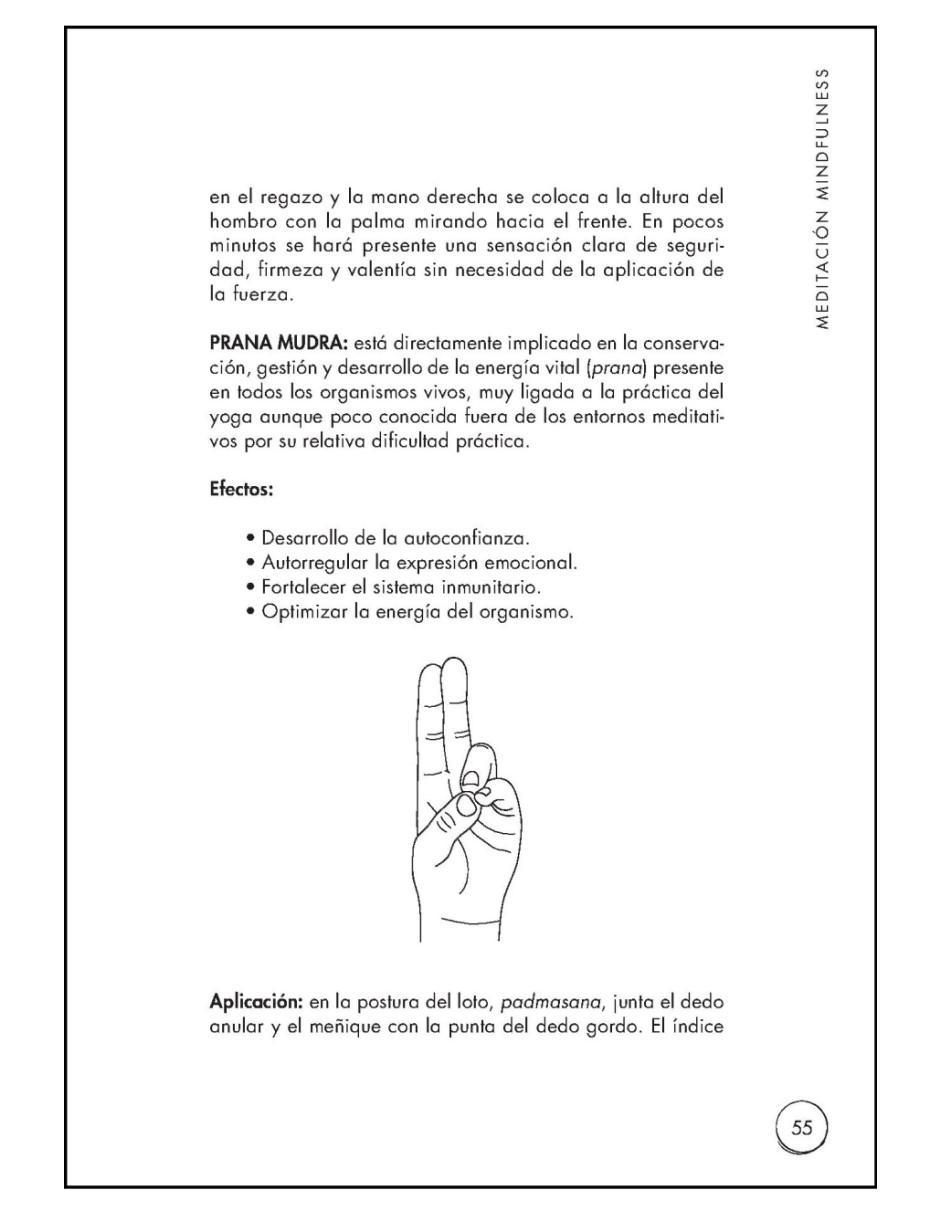 Libro Meditación Mindfulness: El camino hacia la felicidad de Luis Álvarez 3