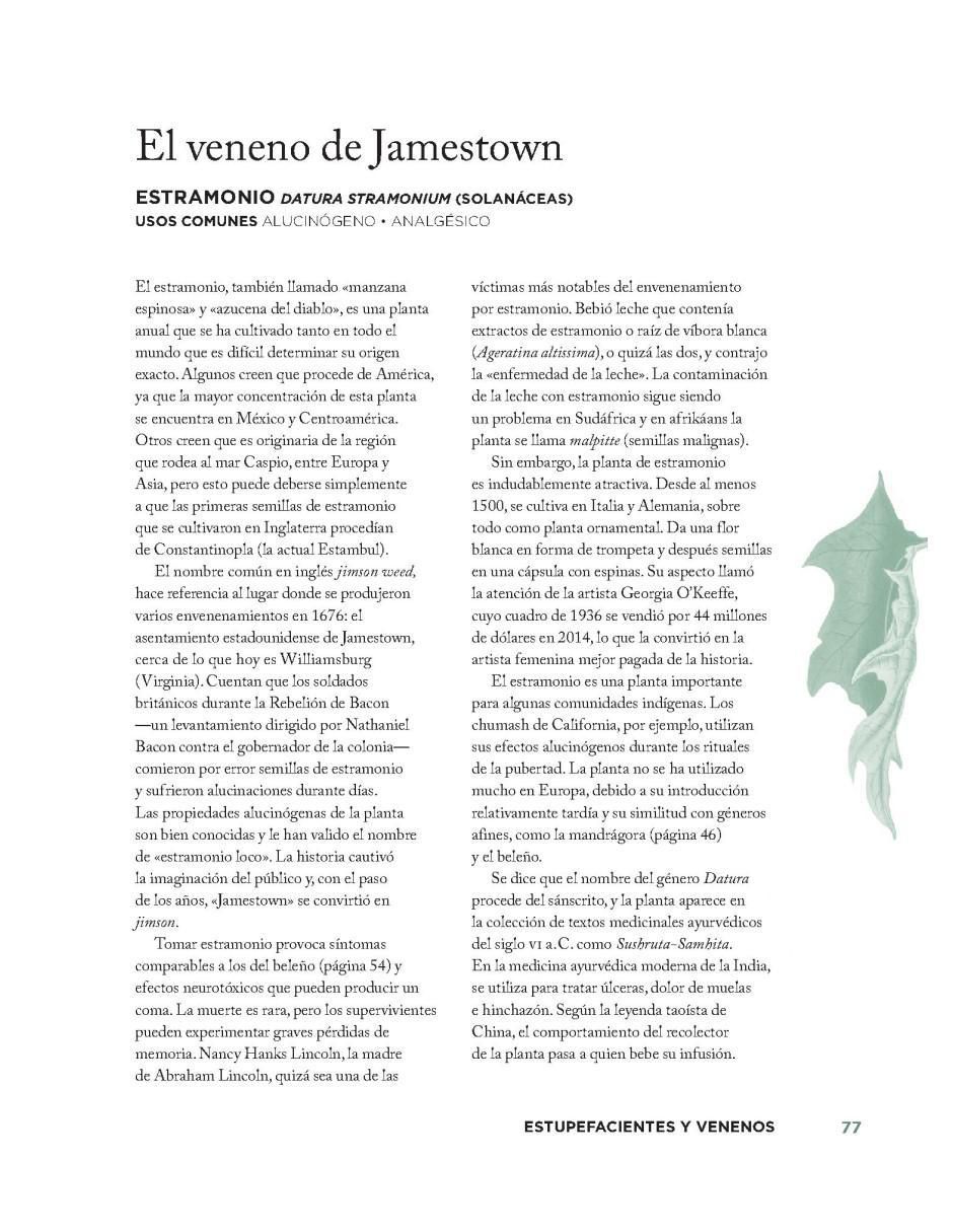 Libro Hierbas Que Han Sanado El Mundo de Connor Smith 3