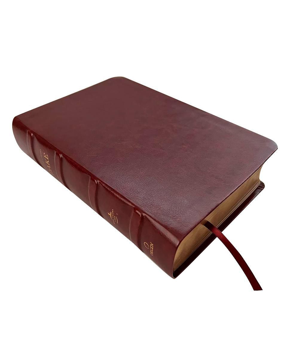 Libro RVR 1960 Biblia De Estudio Dake Piel Marrón de Reina Valera 2