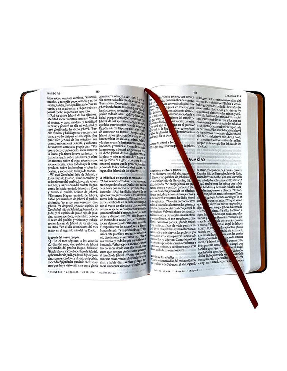 Libro Biblia Rvr 1960 de Reina Valera 2