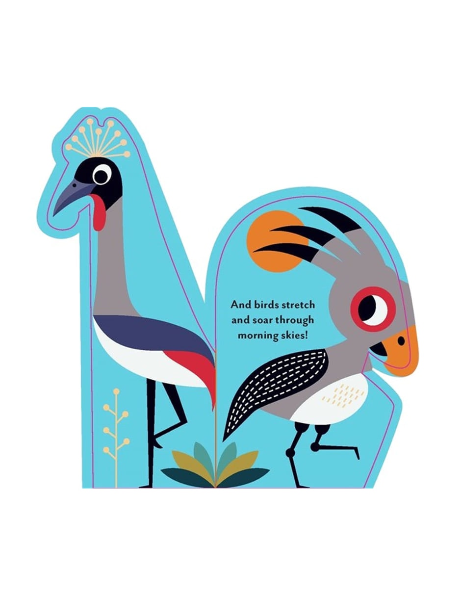 Libro Bookscape Board Books: Wild Animals de Ingela P. Arrhenius 5