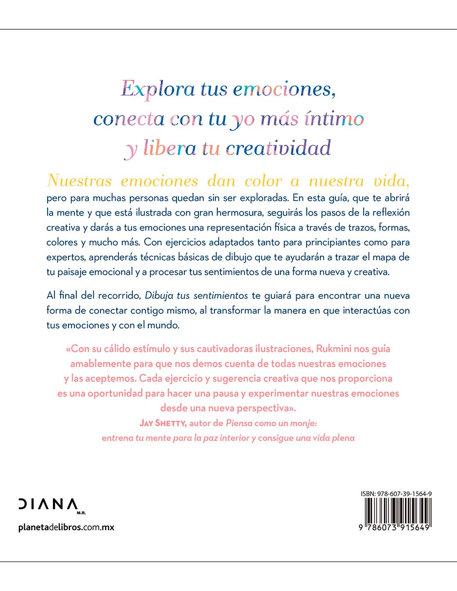 Libro Dibuja Tus Sentimientos de Rukmini Poddar 2