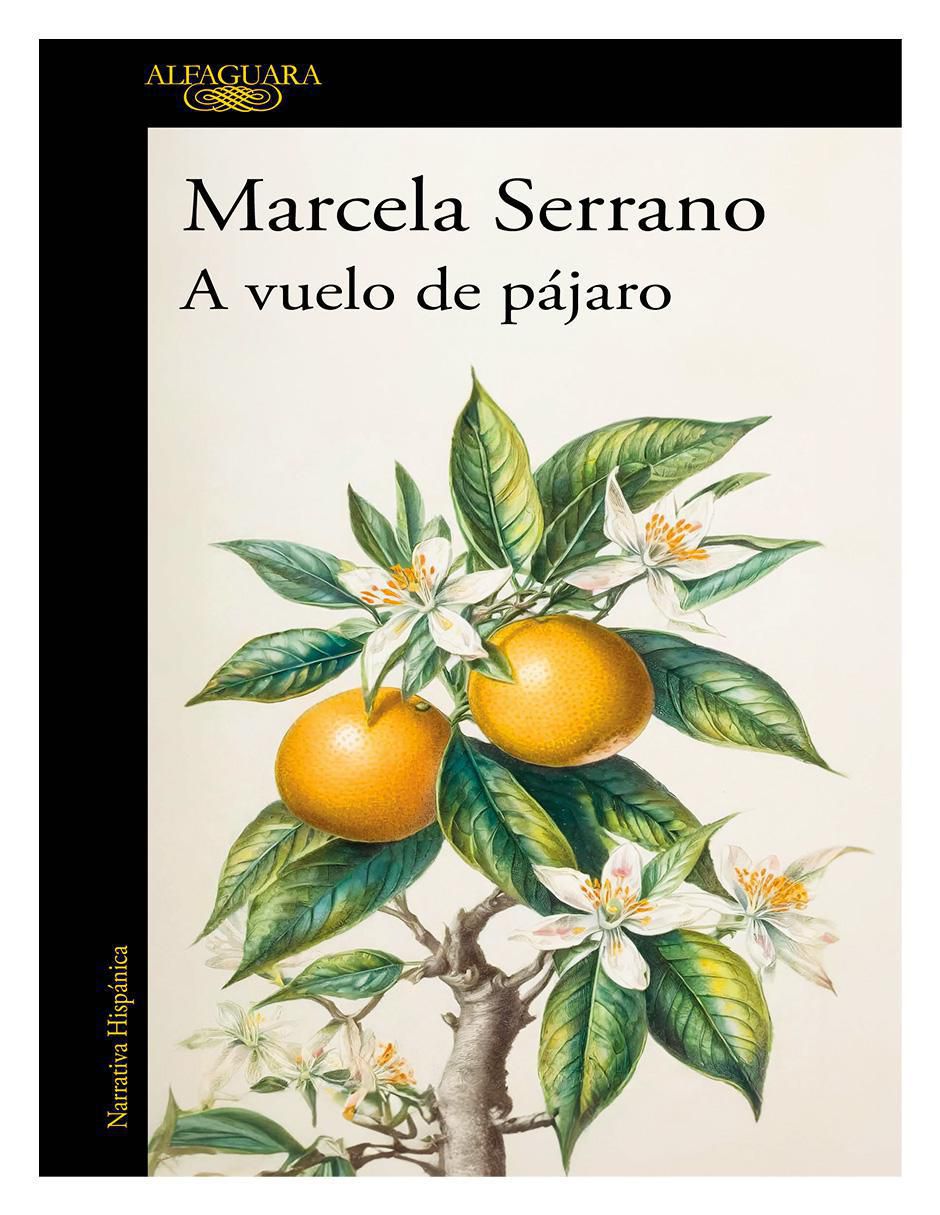 Libro A vuelo de pájaro de Marcela Serrano Libro A vuelo de pájaro de Marcela Serrano