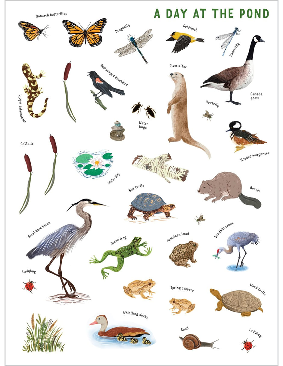 Libro Backpack Explorer Stickers: Nature Adventure de Storey Publishing 2