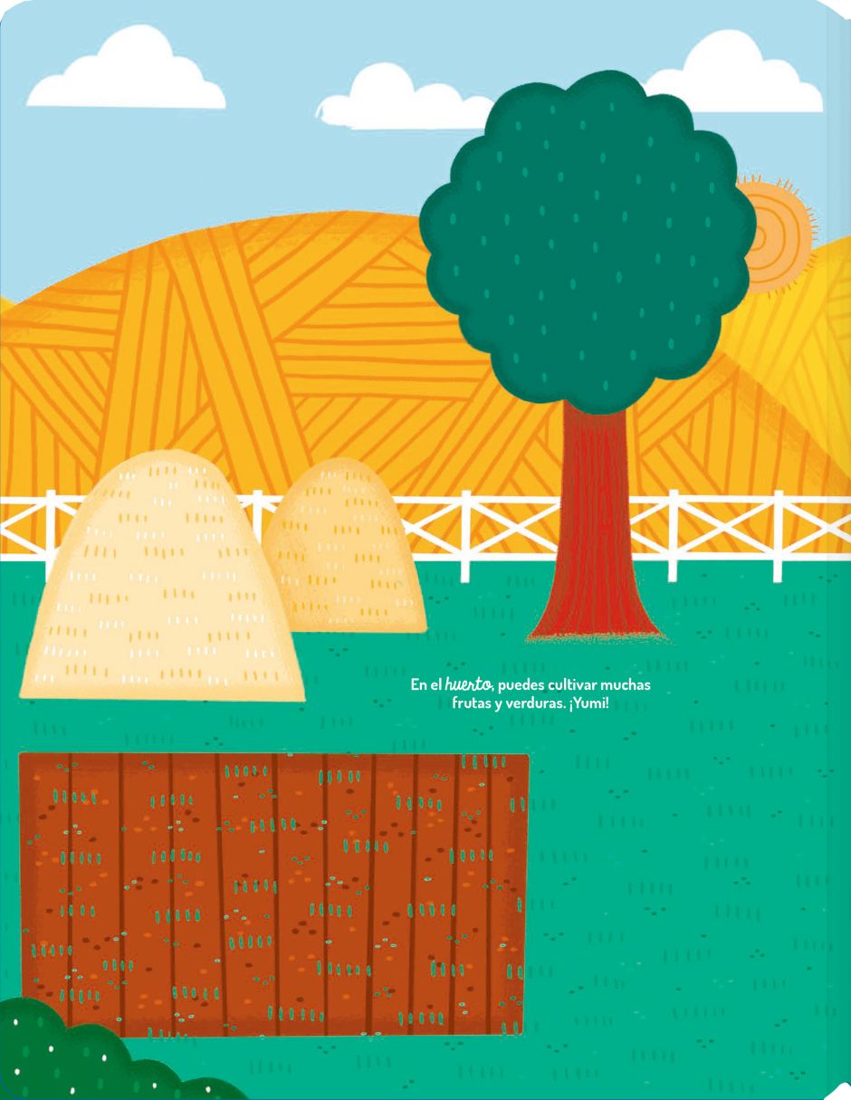 Libro Mis Aventuras con Imanes La Granja de Auzou 3