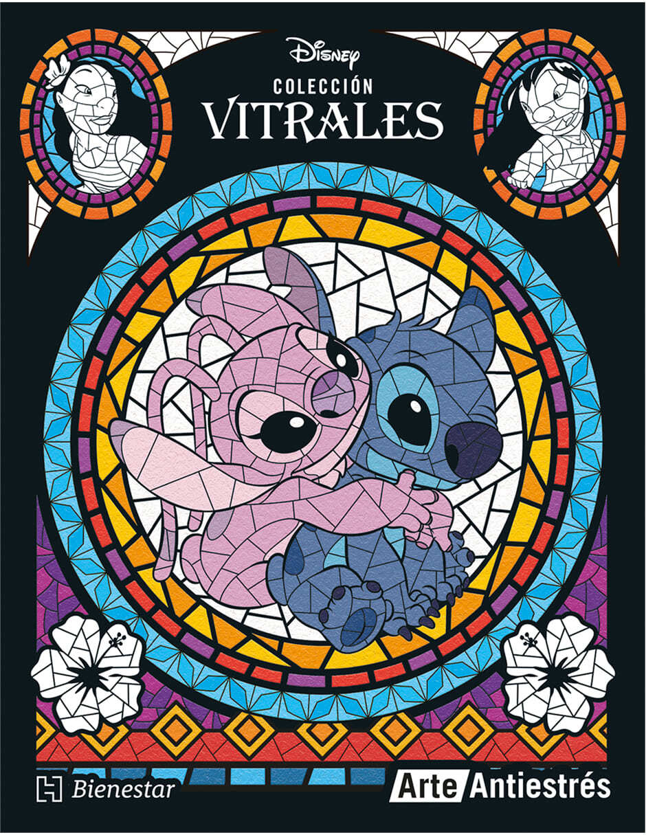 Libro Vitrales Stich de Graciela Iniestra