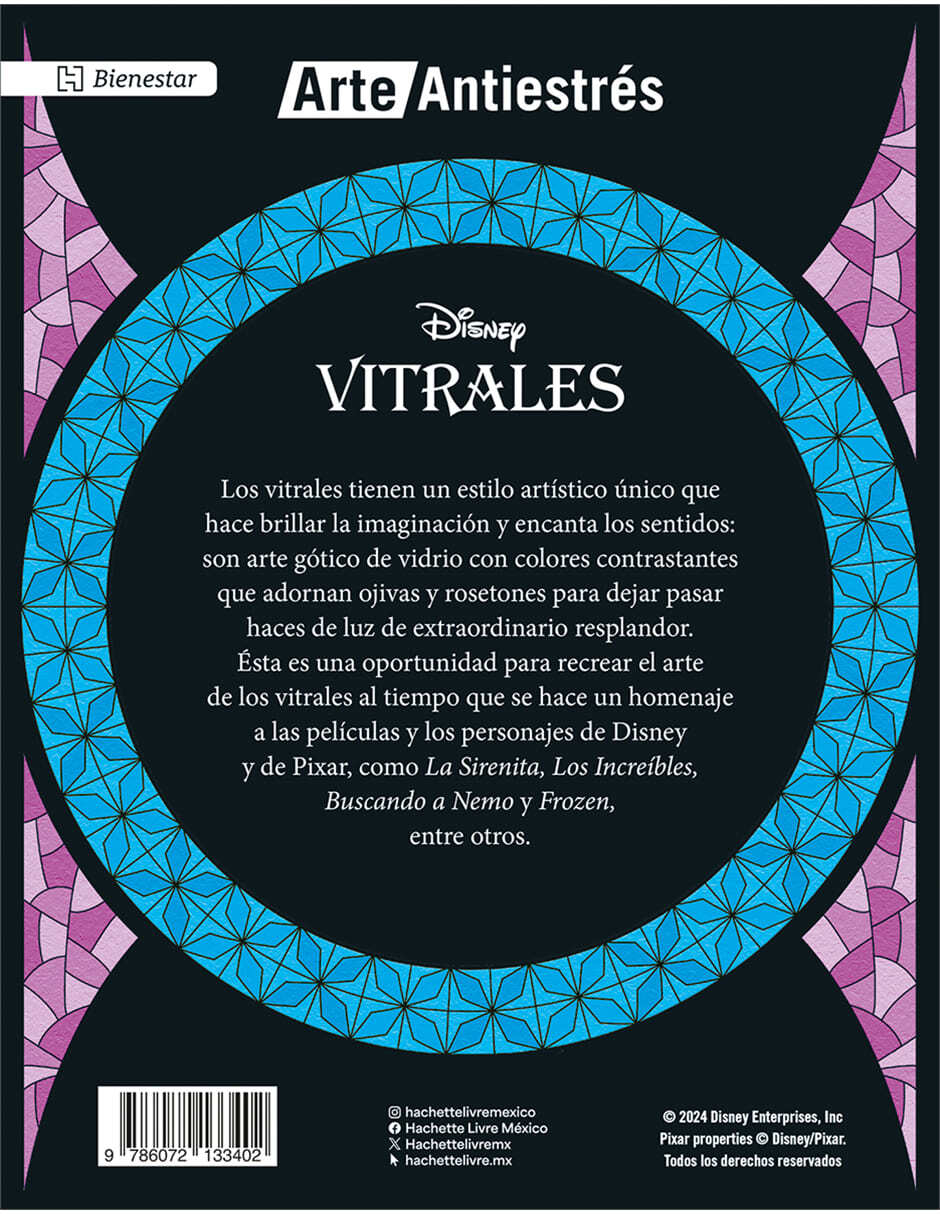 Libro Vitrales Stich de Graciela Iniestra 2