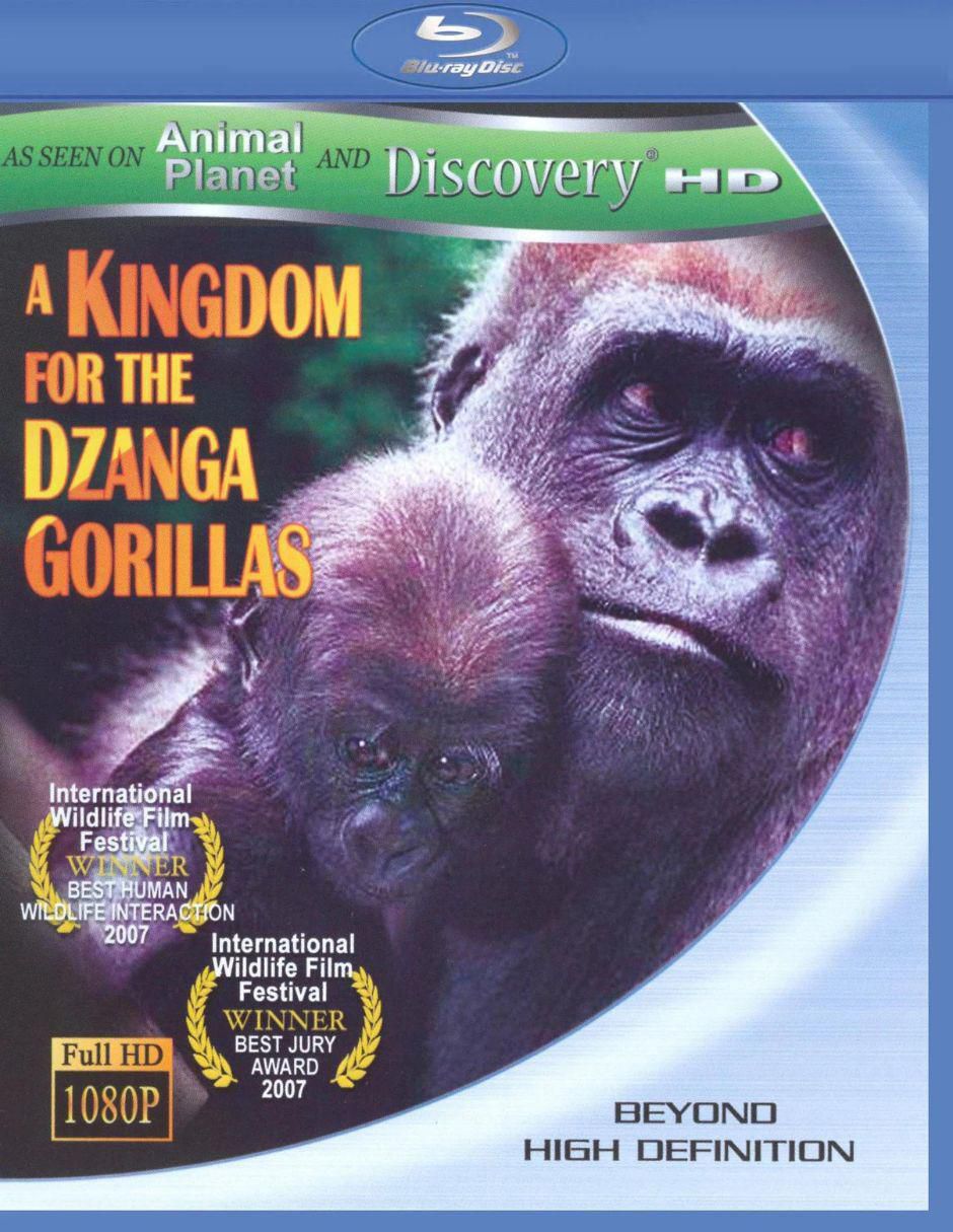 A Kingdom For Dzanga Gorillas (BD) A Kingdom For Dzanga Gorillas (BD)