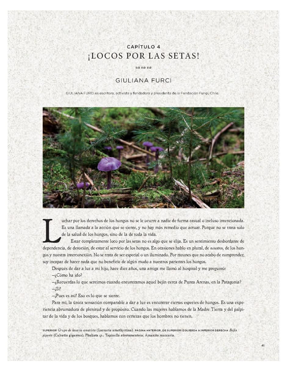 Libro Hongos Fantásticos de Paul Stamets y Louie Schawartzberg 2