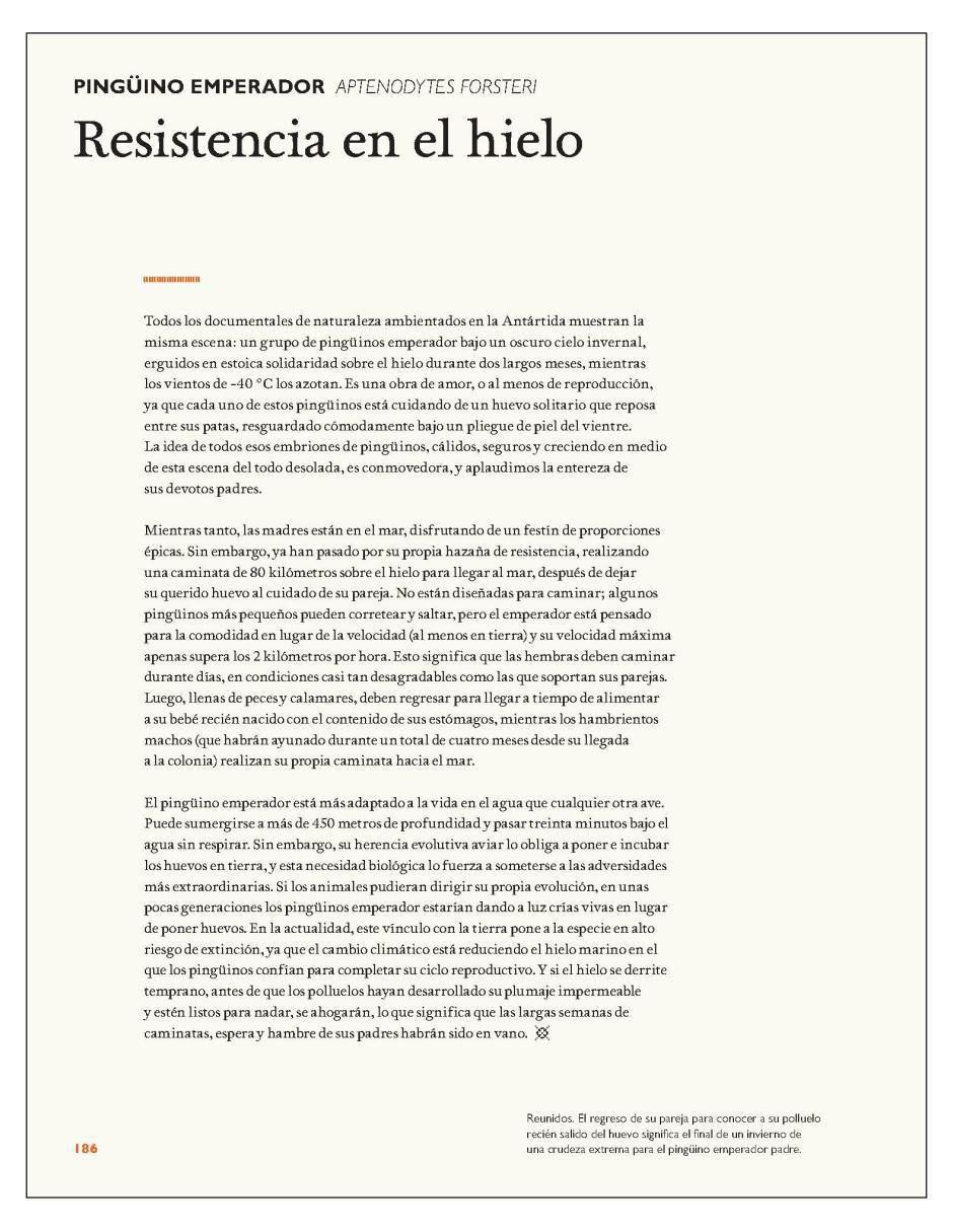 Libro La Mente Animal de Marianne Taylor 5
