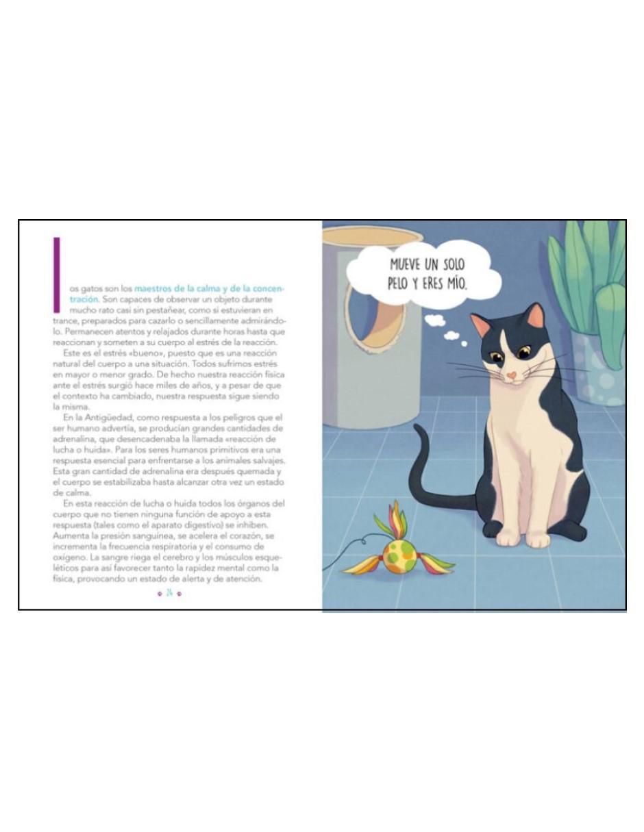Libro El Arte de Vivir Como Un Gato: Mejora tu vida observando a los felinos de María Montolío / Shia Green 3