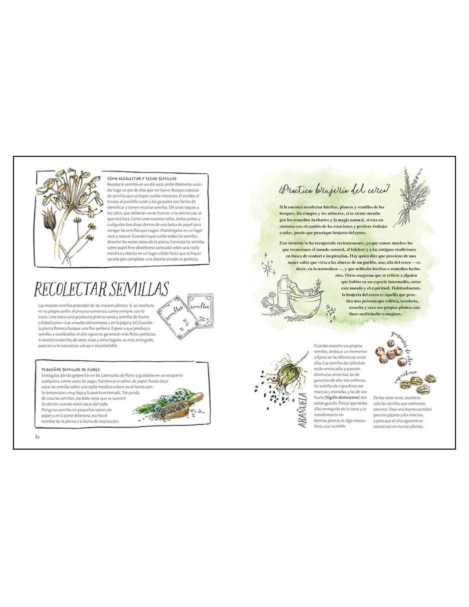 Libro La magia de las semillas de Clare Gogerty 3