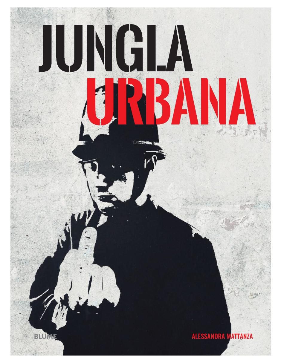 Libro Box set Bansky de Alessandra Mattanza 4