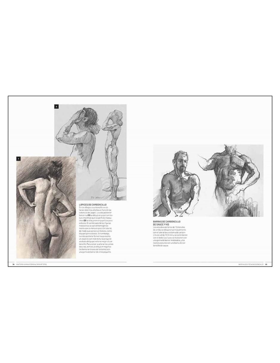 Libro Anatomía humana esencial para artistas de Ken Goldman 3