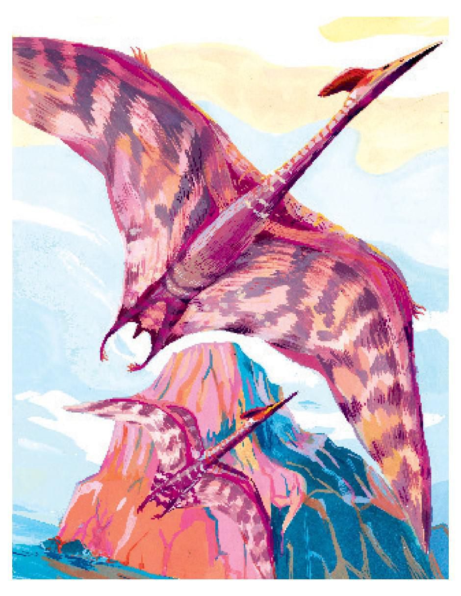 Libro Dinopedia - enciclopedia de bestias prehistóricas de Tom Jackson/Good Wives and Warriors 2