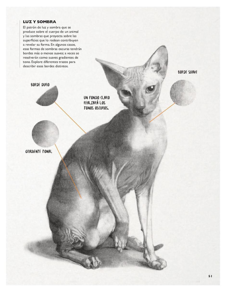 Cuando haya leído este libro ¡sabrá dibujar animales! de Jake Spicer/Lancelot Richardson 3