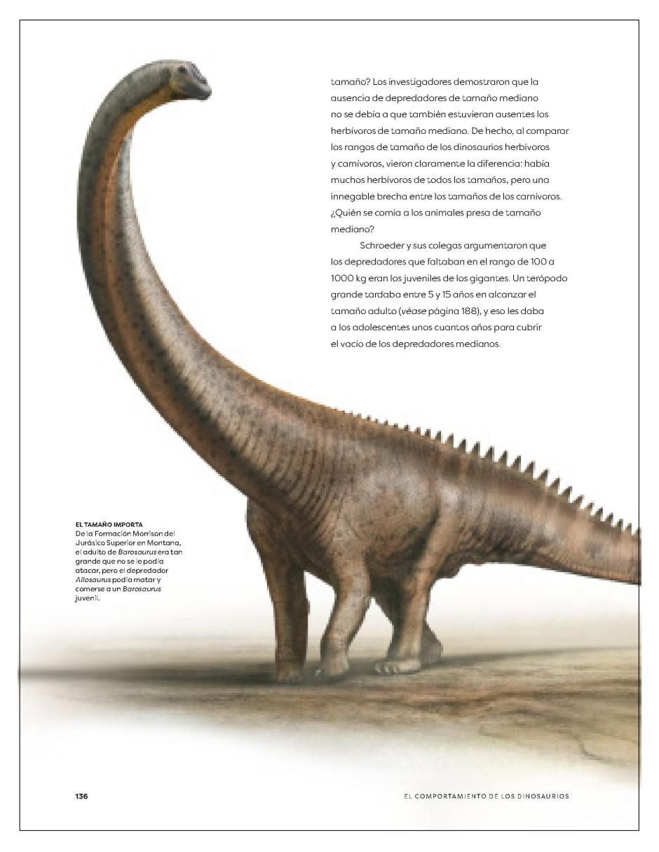 Libro El Comportamiento De Los Dinosaurios de Michael J. Benton Y Bob Nicholls 3