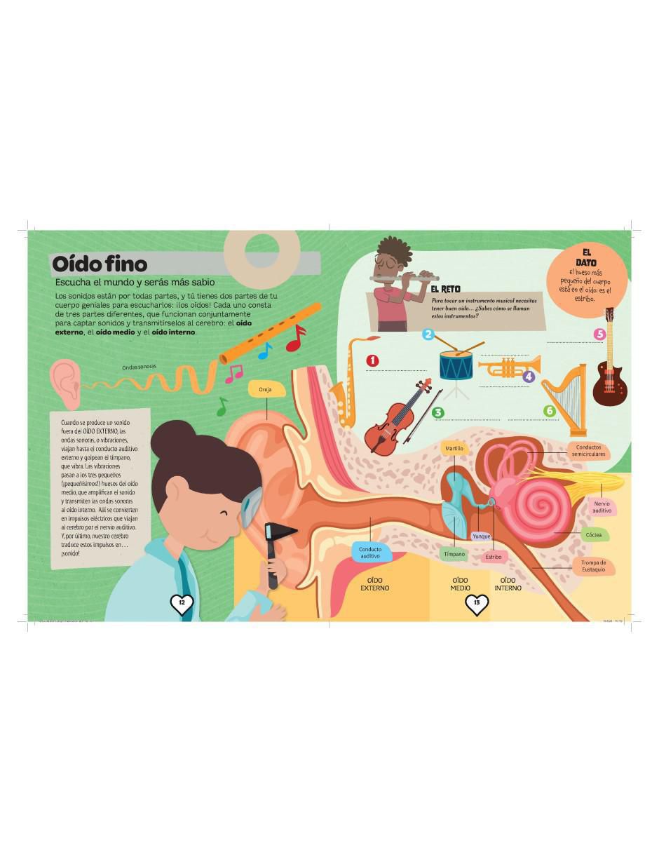 Libro Explora El Cuerpo Humano de Alberto Jiménez García 4