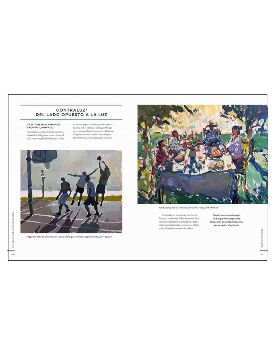 Libro Pintura Al Aire Libre Para Artistas de Aimee Erickson 2
