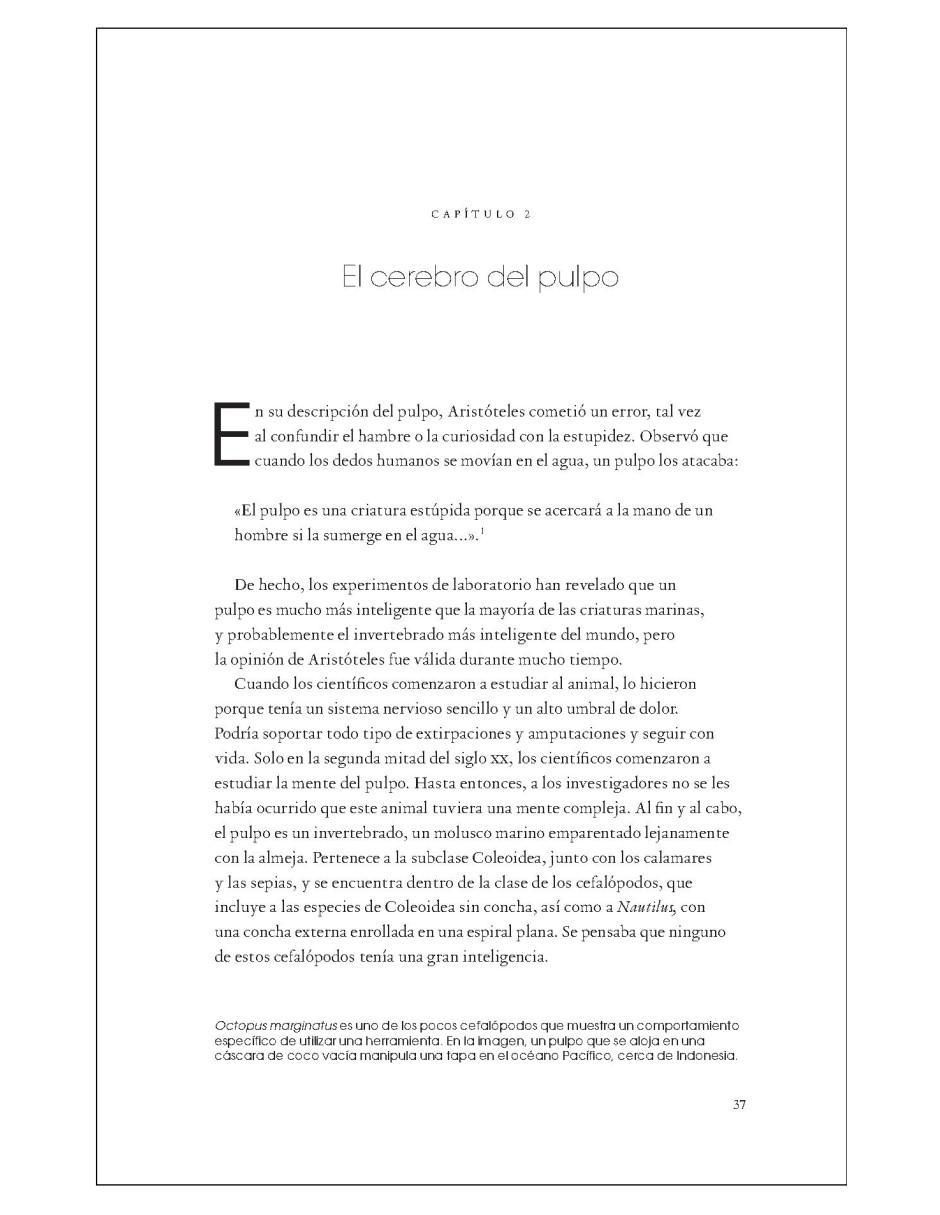 Libro Los Pulpos - La Vida De Unos Seres Extraordinarios de Richard Schweid 3