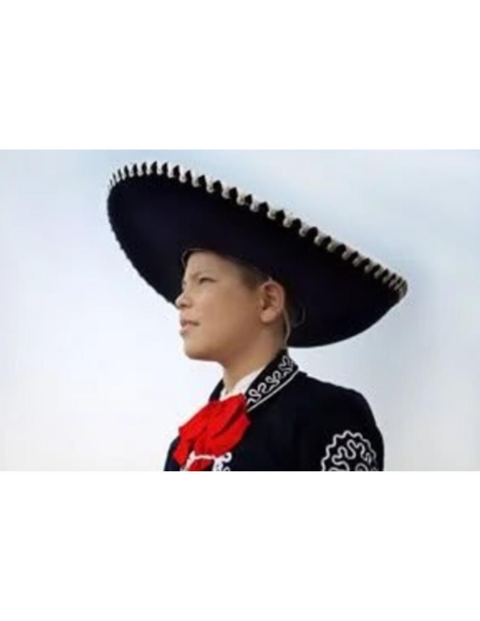 El Gallo de Jalisco Álbum musical 2013 en CD Luis Enrique 1 CD 2