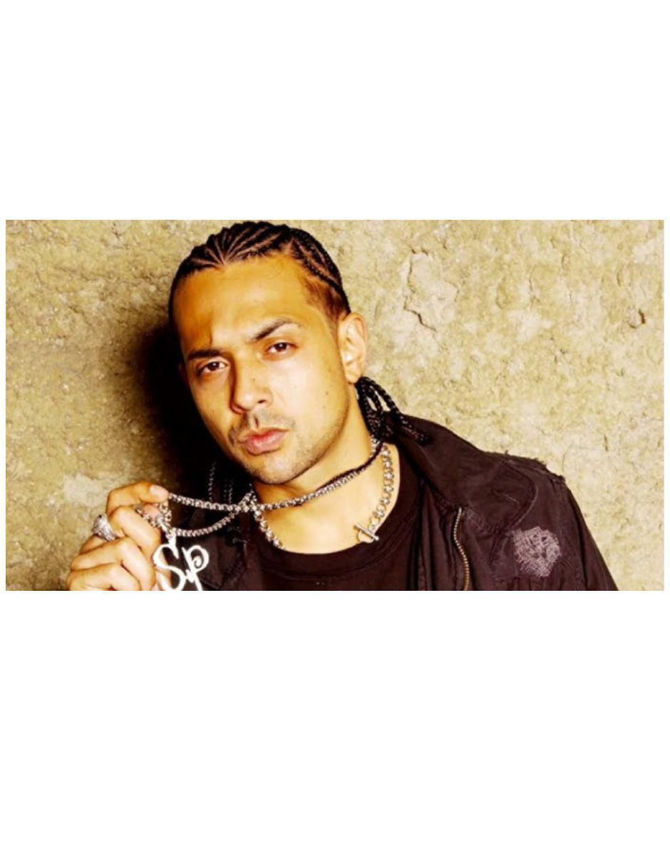 Sean Paul: Duttyology 2004 Conicerto en DVD Estándar 3