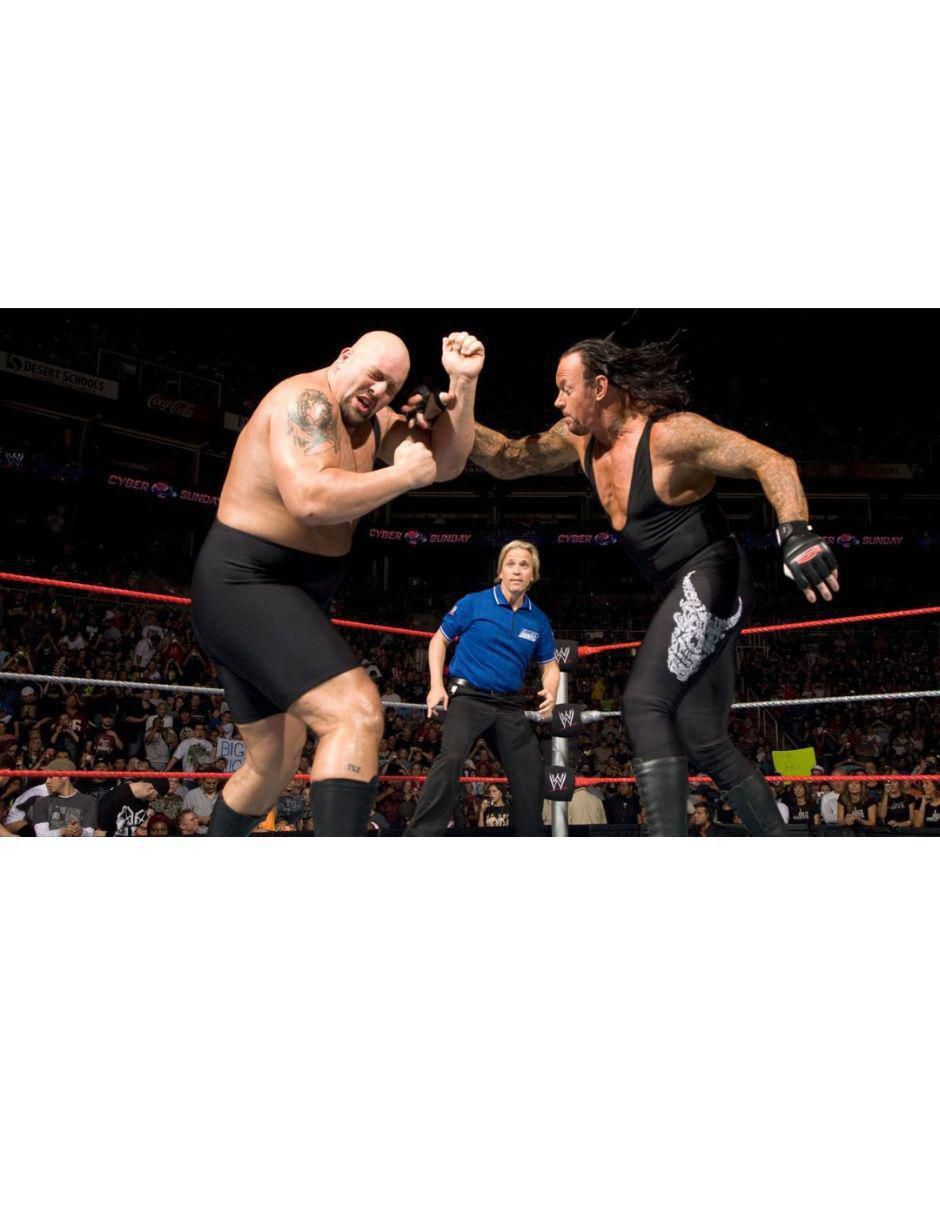 Cyber Sunday (2008) evento de lucha libre en DVD estándar 2