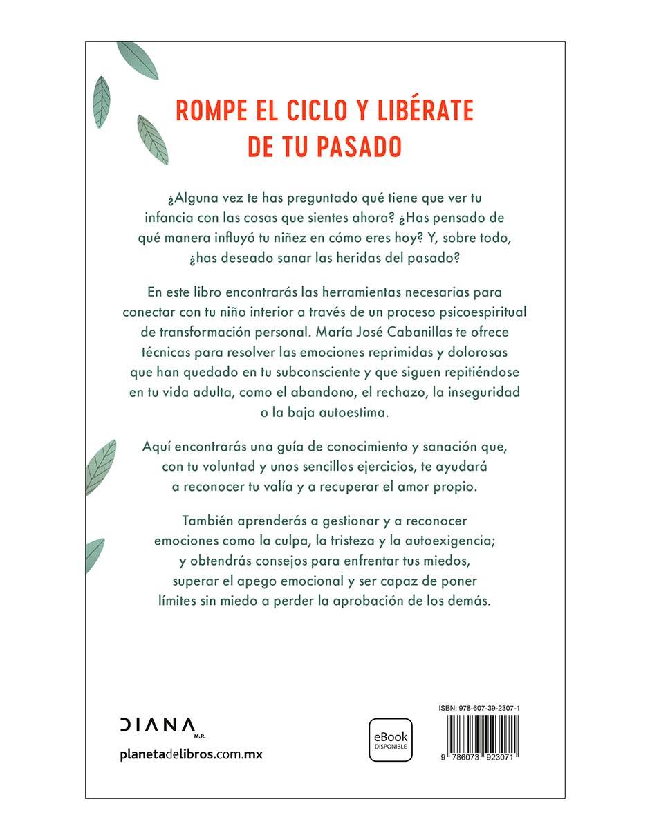 Libro Elijo Aprender A Amarme de Maria Jose Cabanillas 2