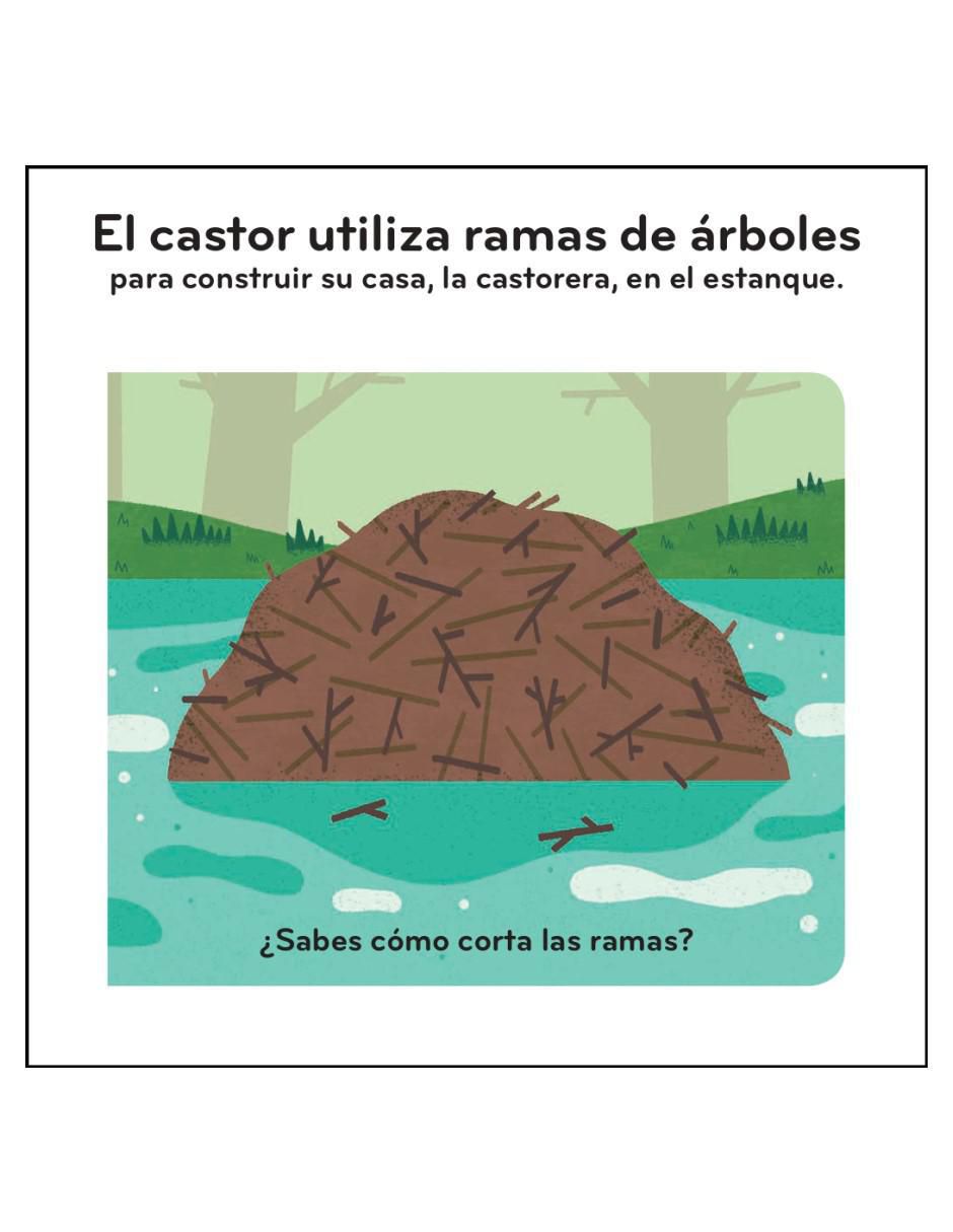 Libro Primeros Descubrimientos. Casitas de los Animales de Ella Bailey 2