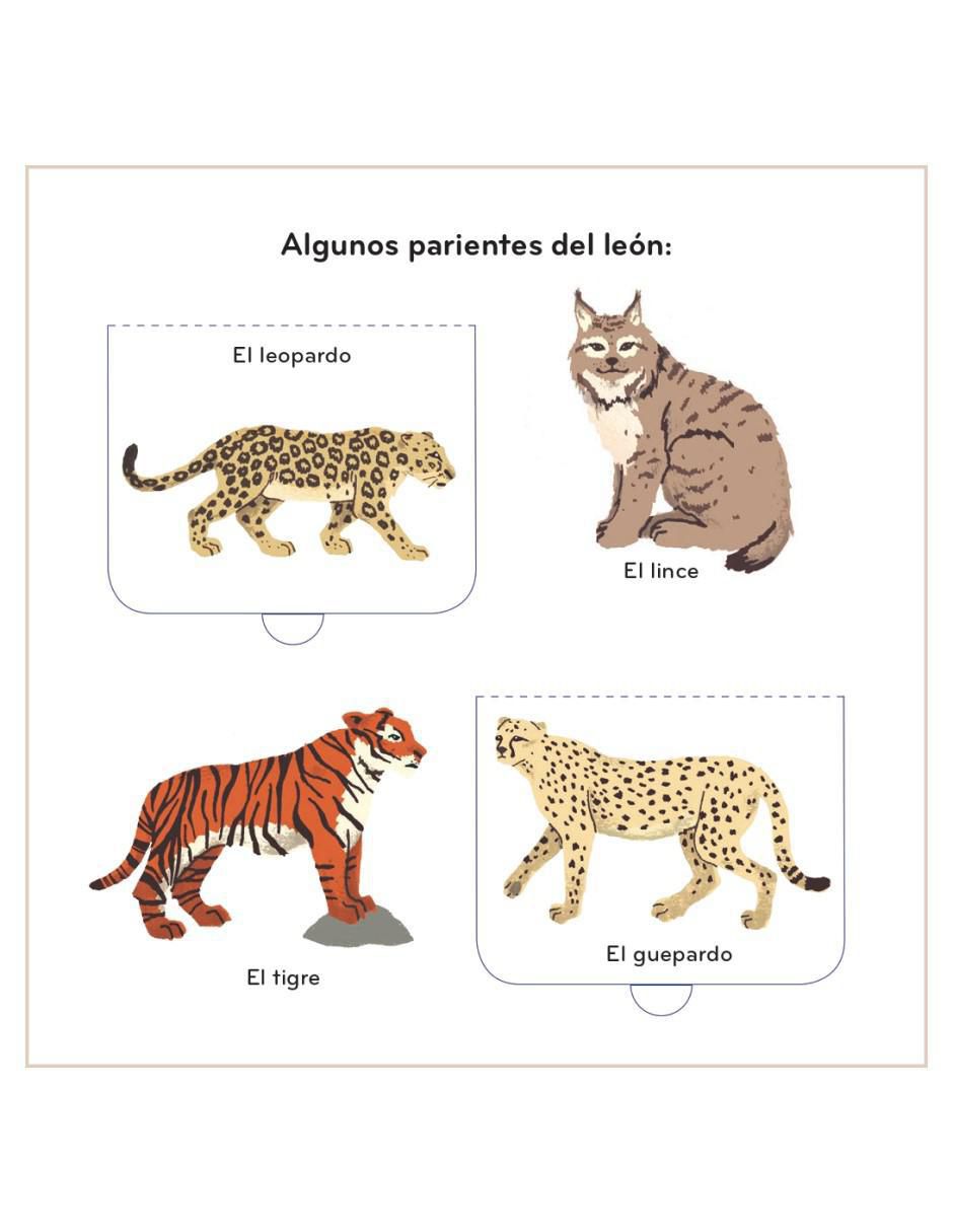 Libro Primeros Descubrimientos. Animales Salvajes de Clemence Dupont 2