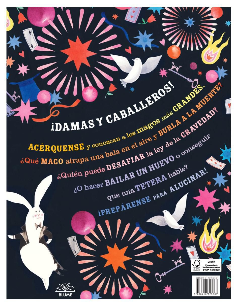 Libro Maravillosos Magos de Lydia Corry 3