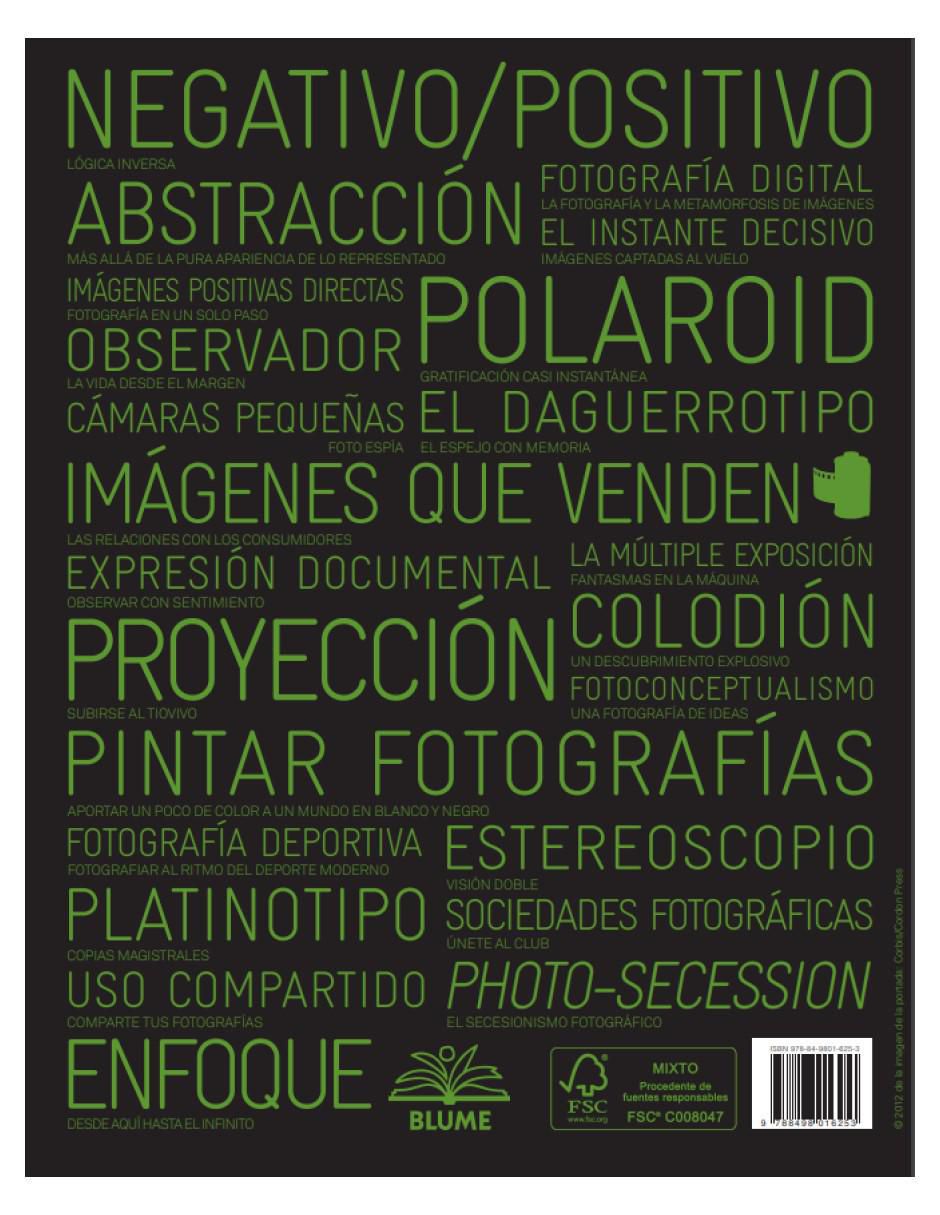Libro 100 ideas que cambiaron la fotografía de Mary Warner Marien 3