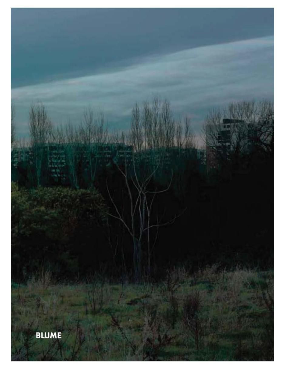 Libro El jardín de Alessandro Imbriaco 3