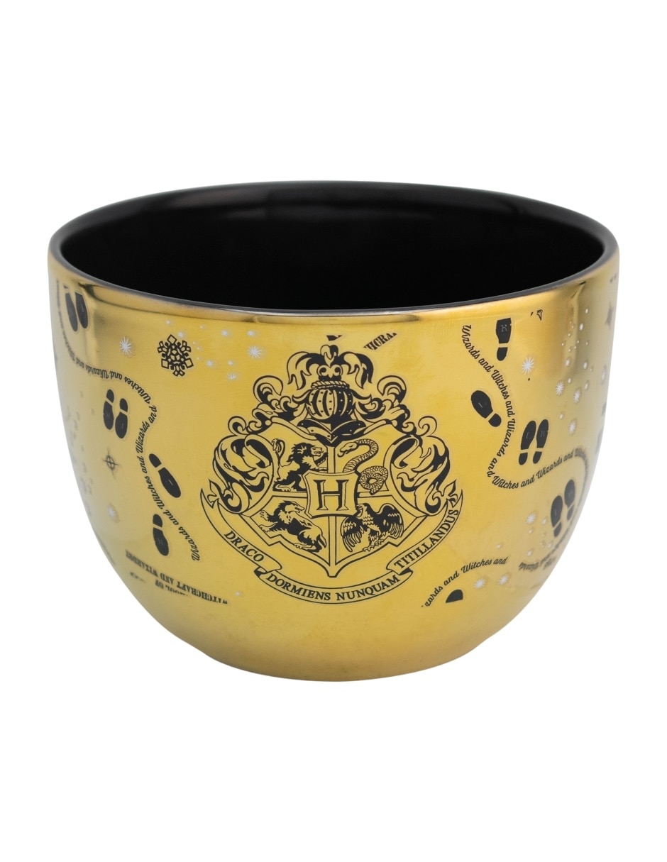 Taza de colección Harry Potter 2
