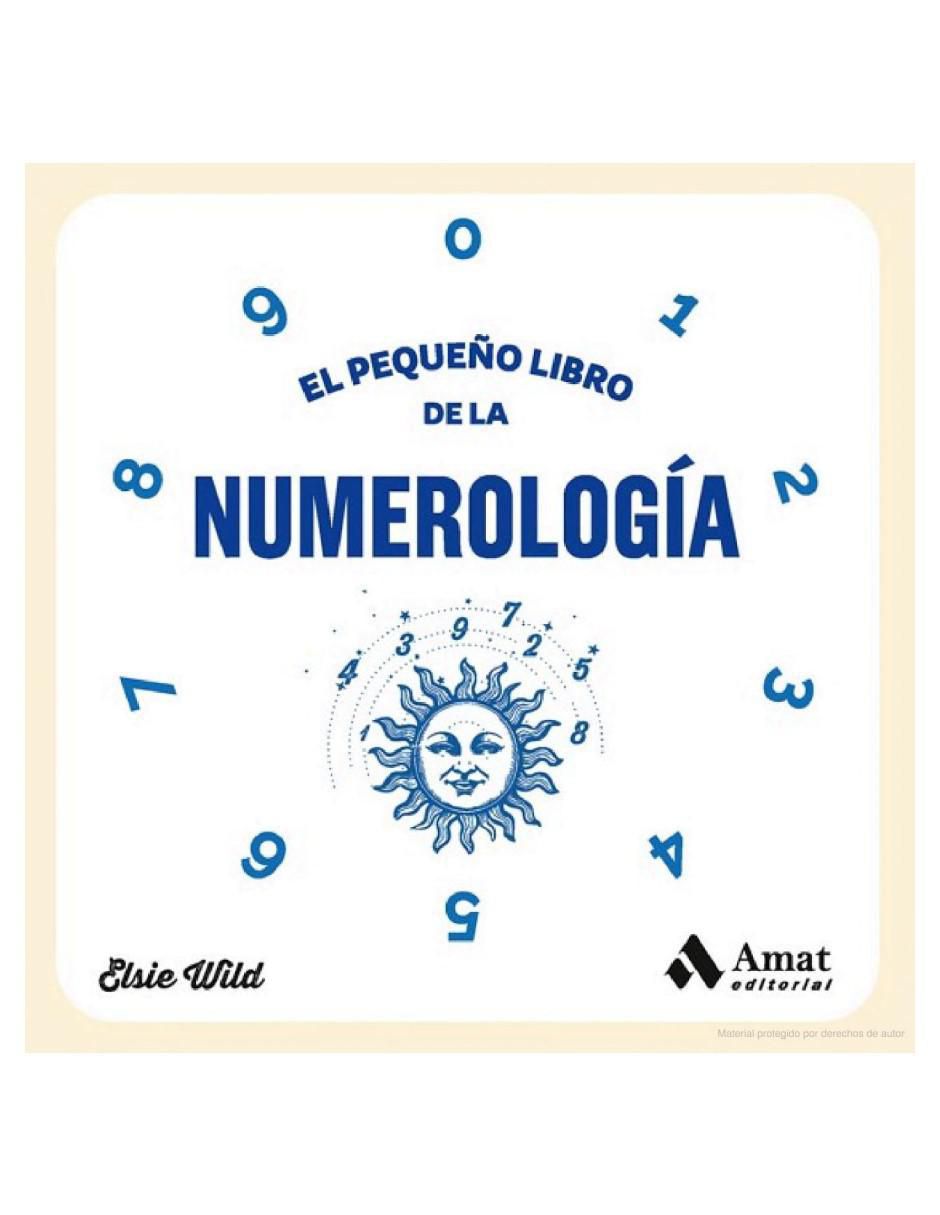 El Pequeño Libro de La Numerología de Elsie Wild 2