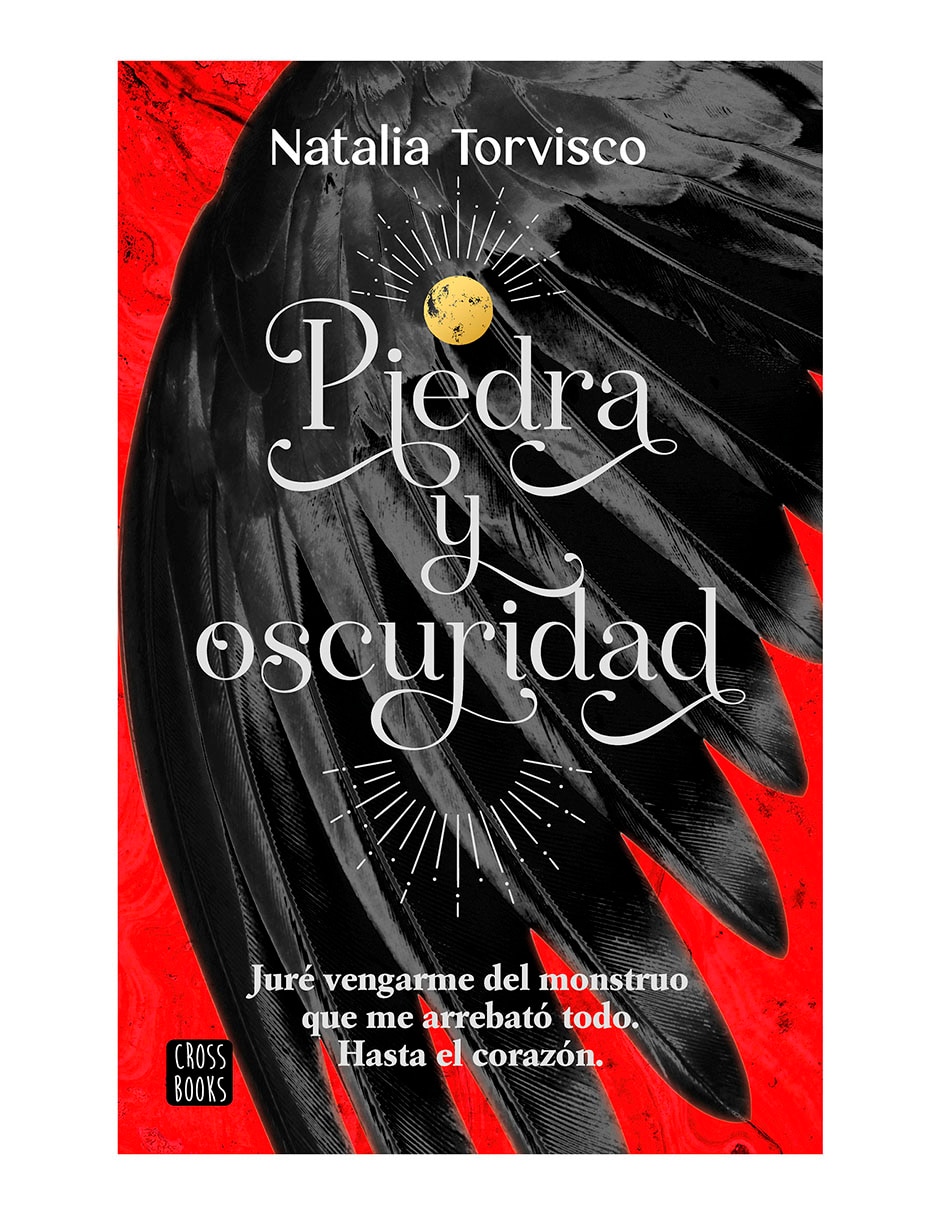 Libro Piedra Y Oscuridad de Natalia Torvisco 1