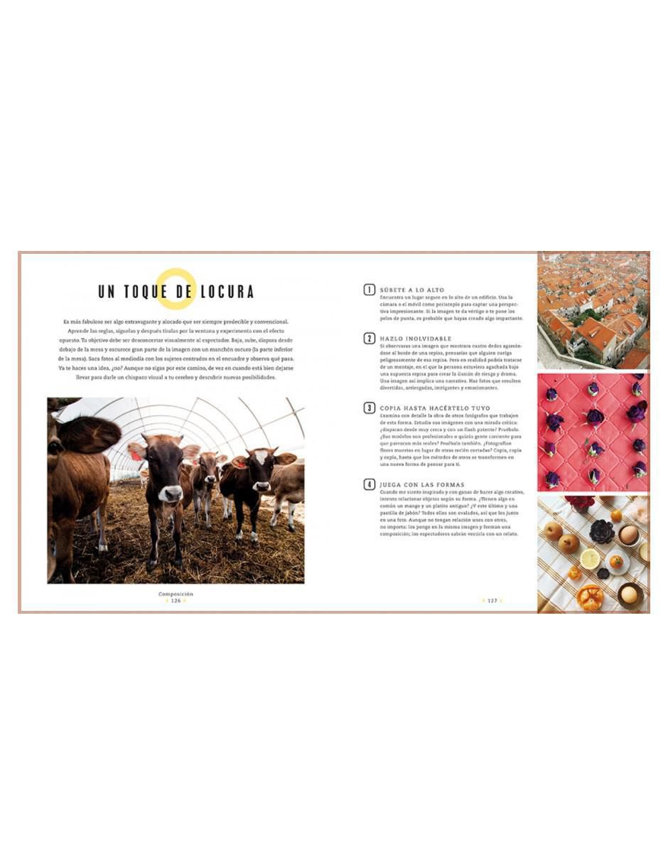Libro Instagram, Diseño y Estilo de Leela Cyd 3