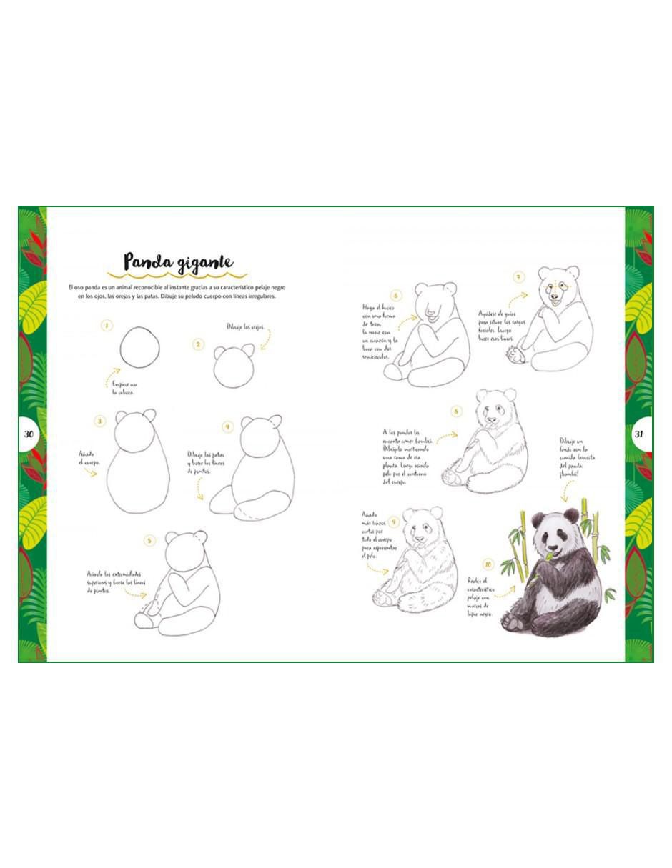 Libro Dibujar Animales en 10 Pasos de Heather Kilgour 2