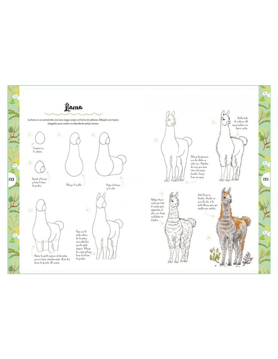 Libro Dibujar Animales en 10 Pasos de Heather Kilgour 3